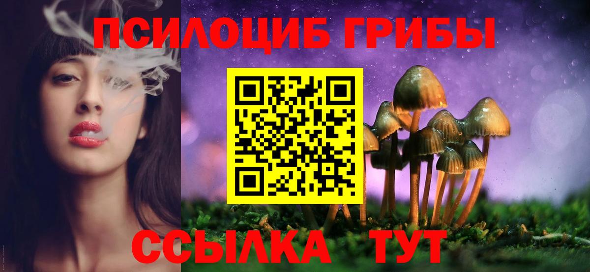 Галлюциногенные грибы Cubensis Кузнецк