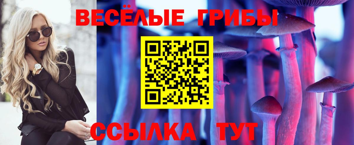 Кузнецк  Галлюциногенные грибы мицелий  Вход с VPN 